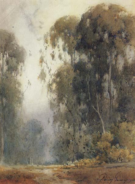 Eucalyptus Trees, unknow artist